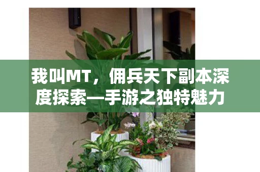 佣兵天下副本深度探索图片