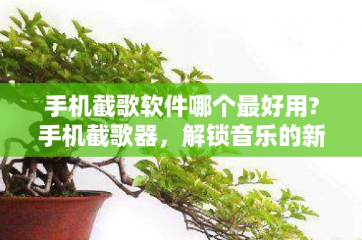 手机截歌软件哪个最好用?手机截歌器，解锁音乐的新方式