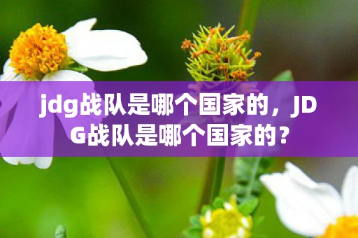 jdg战队是哪个国家的，JDG战队是哪个国家的？