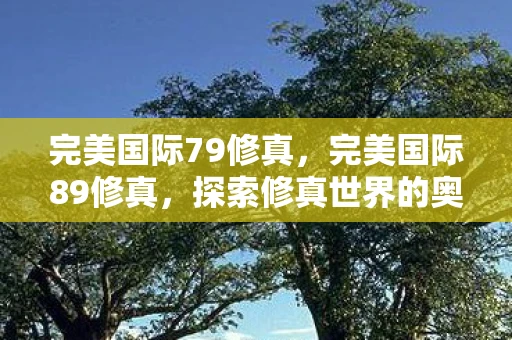 完美国际79修真，完美国际89修真，探索修真世界的奥秘