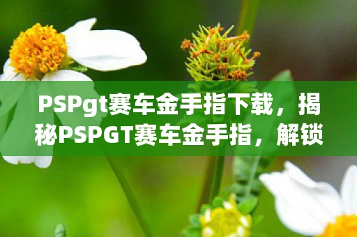 PSPgt赛车金手指下载，揭秘PSPGT赛车金手指，解锁速度与激情的秘诀