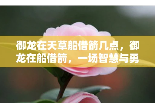 御龙在天草船借箭几点，御龙在船借箭，一场智慧与勇气的较量