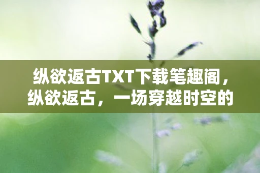 纵欲返古TXT下载笔趣阁，纵欲返古，一场穿越时空的寻觅