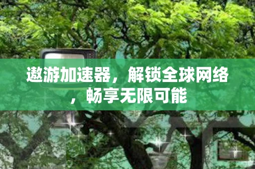 遨游加速器，解锁全球网络，畅享无限可能