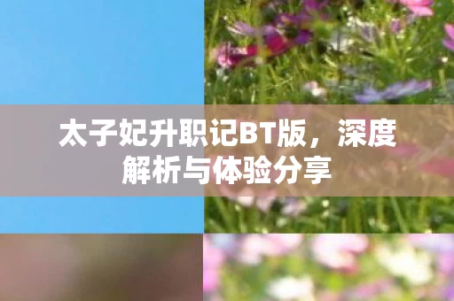 太子妃升职记BT版图片