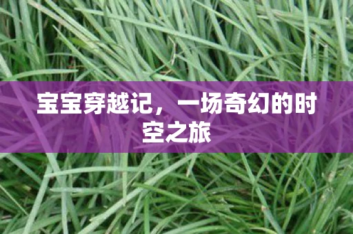 宝宝穿越记，一场奇幻的时空之旅