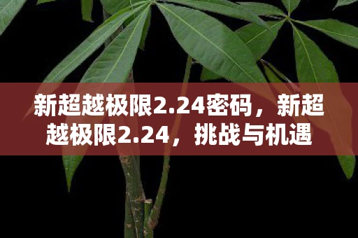 新超越极限2.24密码，新超越极限2.24，挑战与机遇并存的全新时代