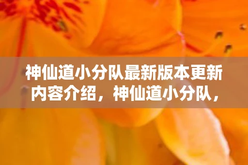 神仙道小分队最新版本更新内容介绍，神仙道小分队，探索最新版的奇幻之旅