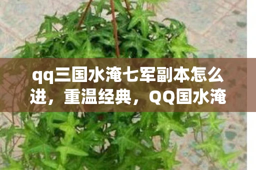 qq三国水淹七军副本怎么进，重温经典，QQ国水淹七军副本攻略与回忆