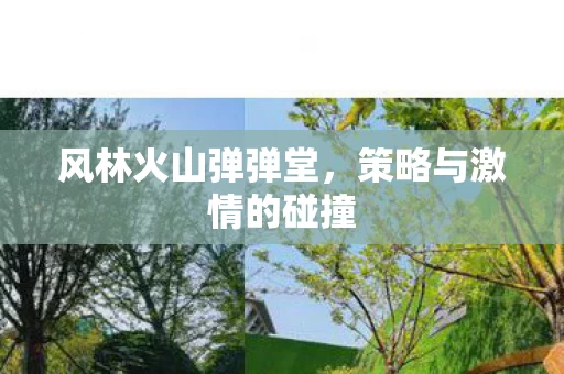 策略与激情的碰撞图片