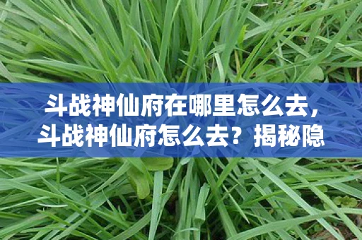 斗战神仙府在哪里怎么去，斗战神仙府怎么去？揭秘隐藏在游戏中的神秘地点