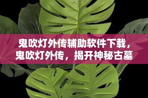 鬼吹灯外传辅助软件下载，鬼吹灯外传，揭开神秘古墓的真相