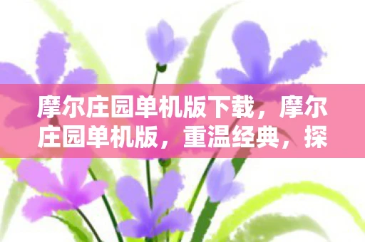 摩尔庄园单机版下载，摩尔庄园单机版，重温经典，探索无限可能