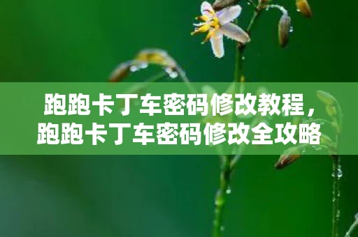 跑跑卡丁车密码修改教程，跑跑卡丁车密码修改全攻略