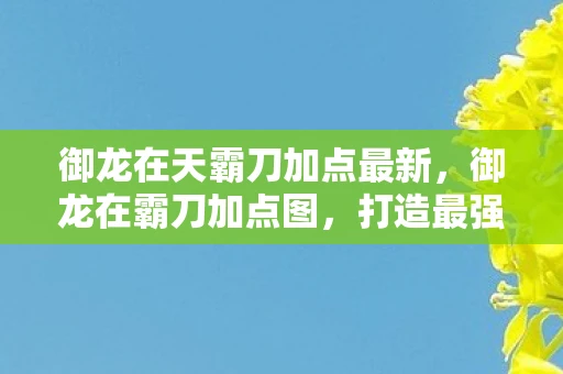 御龙在天霸刀加点最新，御龙在霸刀加点图，打造最强战士的攻略