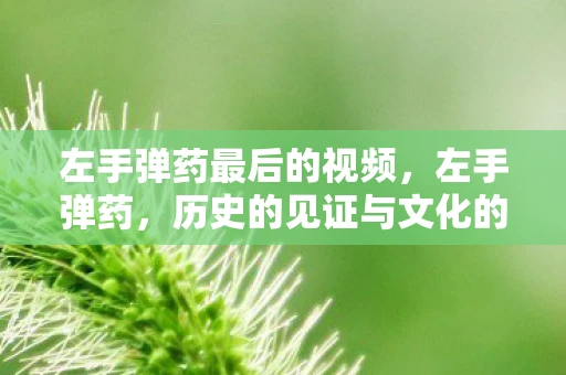 左手弹药最后的视频，左手弹药，历史的见证与文化的传承