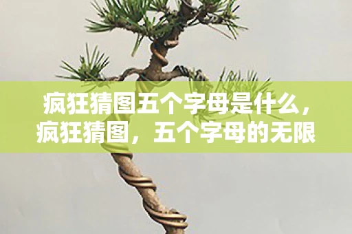 疯狂猜图五个字母是什么，疯狂猜图，五个字母的无限可能