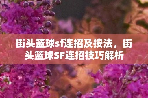 街头篮球sf连招及按法，街头篮球SF连招技巧解析