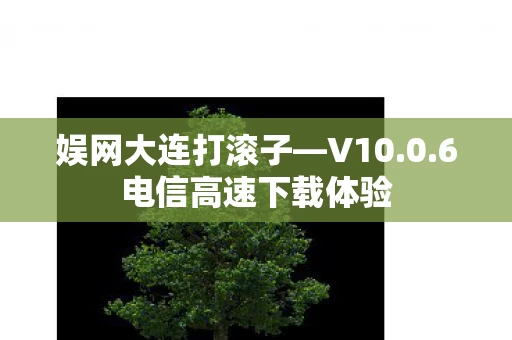6电信高速下载体验图片