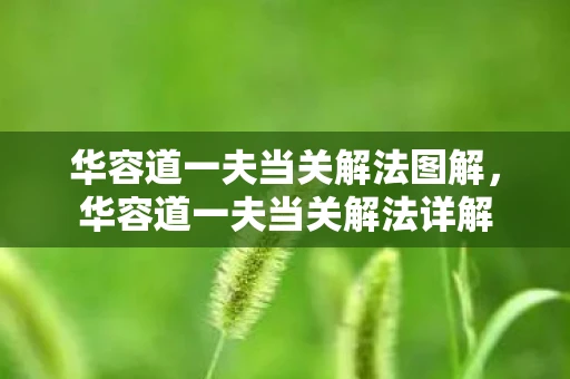 华容道一夫当关解法图解，华容道一夫当关解法详解