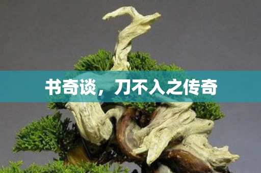 书奇谈，刀不入之传奇