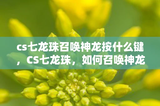 cs七龙珠召唤神龙按什么键,CS七龙珠,如何召唤神龙? cs七龙珠召唤神龙按什么键,CS七龙珠,如何召唤神龙?