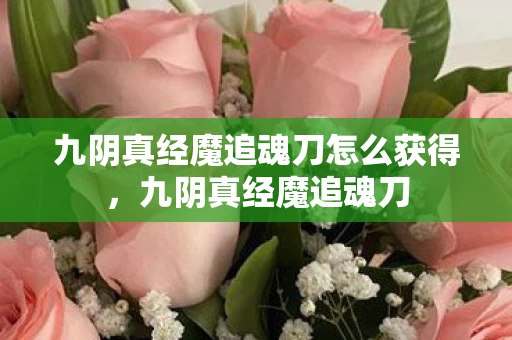 九阴真经魔追魂刀怎么获得，九阴真经魔追魂刀
