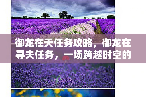 御龙在天任务攻略，御龙在寻夫任务，一场跨越时空的浪漫冒险