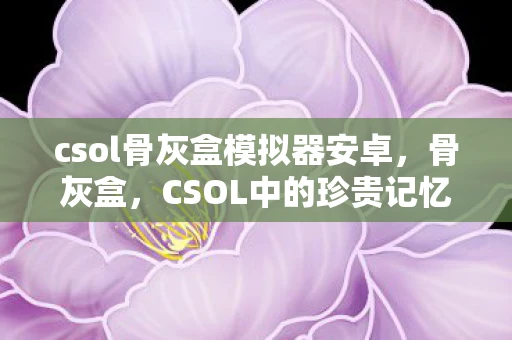 csol骨灰盒模拟器安卓,骨灰盒,CSOL中的珍贵记忆 csol骨灰盒模拟器安卓,骨灰盒,CSOL中的珍贵记忆
