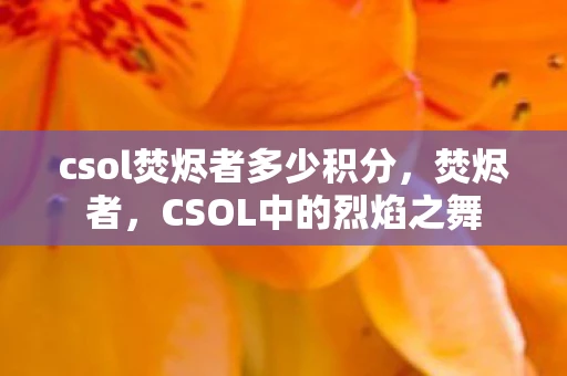 csol焚烬者多少积分，焚烬者，CSOL中的烈焰之舞