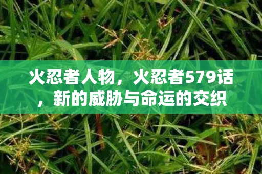 火忍者人物,火忍者579话,新的威胁与命运的交织 火忍者人物,火忍者579话,新的威胁与命运的交织