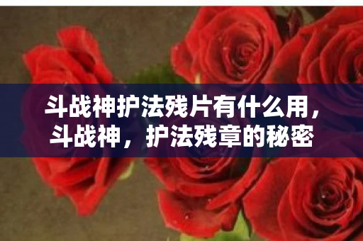 斗战神护法残片有什么用，斗战神，护法残章的秘密