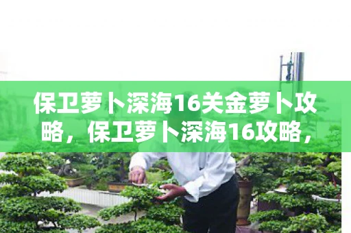 保卫萝卜深海16关金萝卜攻略，保卫萝卜深海16攻略，金萝卜布阵图详解