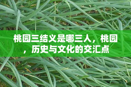 桃园三结义是哪三人，桃园，历史与文化的交汇点