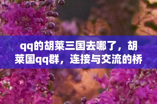 qq的胡莱三国去哪了,胡莱国qq群,连接与交流的桥梁 qq的胡莱三国去哪了,胡莱国qq群,连接与交流的桥梁