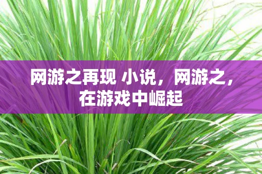 网游之再现 小说，网游之，在游戏中崛起