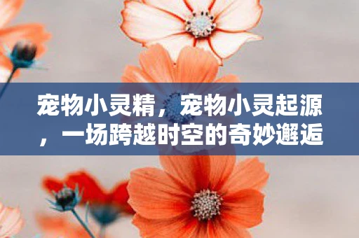 宠物小灵精，宠物小灵起源，一场跨越时空的奇妙邂逅