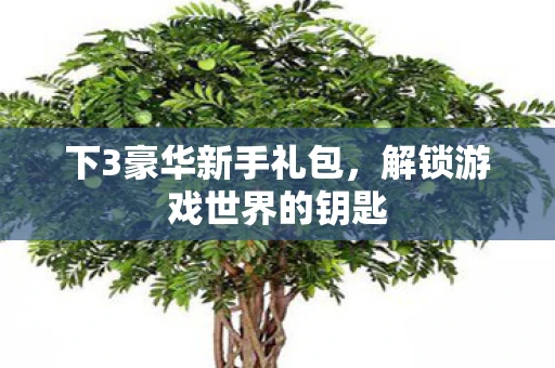 下3豪华新手礼包,解锁游戏世界的钥匙 下3豪华新手礼包,解锁游戏世界的钥匙