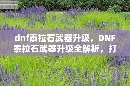 dnf泰拉石武器升级，DNF泰拉石武器升级全解析，打造终极战斗力的秘密