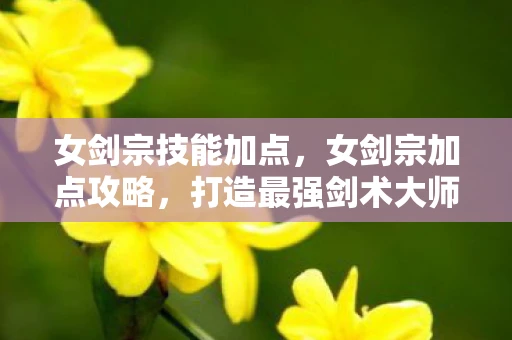 女剑宗技能加点，女剑宗加点攻略，打造最强剑术大师