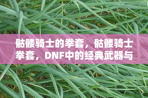 骷髅骑士的拳套，骷髅骑士拳套，DNF中的经典武器与回忆