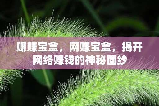 赚赚宝盒，网赚宝盒，揭开网络赚钱的神秘面纱