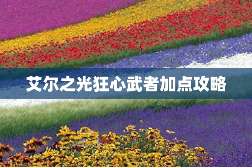 艾尔之光狂心武者加点攻略图片