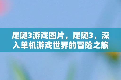 尾随3游戏图片，尾随3，深入单机游戏世界的冒险之旅