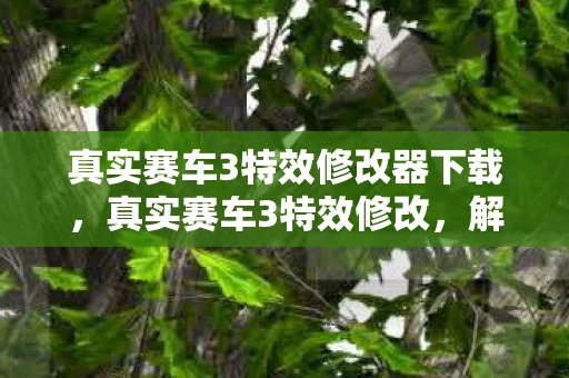 真实赛车3特效修改器下载，真实赛车3特效修改，解锁极致赛车体验