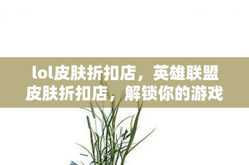 lol皮肤折扣店，英雄联盟皮肤折扣店，解锁你的游戏时尚新风尚