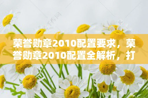 荣誉勋章2010配置要求，荣誉勋章2010配置全解析，打造流畅游戏体验