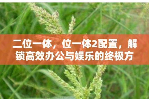 二位一体，位一体2配置，解锁高效办公与娱乐的终极方案