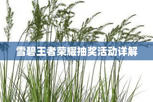 雪碧王者荣耀抽奖活动详解图片