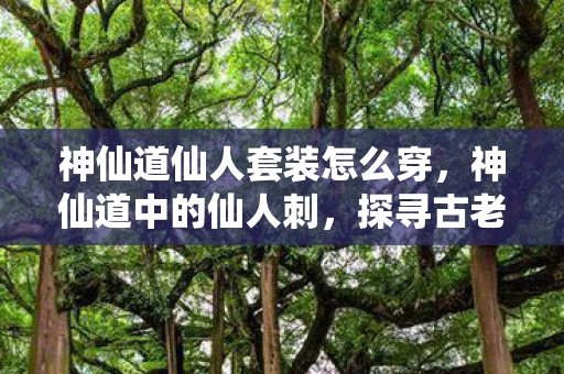 神仙道仙人套装怎么穿，神仙道中的仙人刺，探寻古老传说中的神秘武器